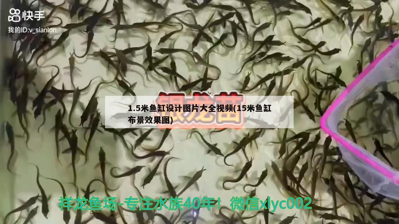 1.5米魚缸設(shè)計(jì)圖片大全視頻(15米魚缸布景效果圖)