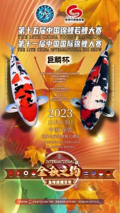 金川鯉魚