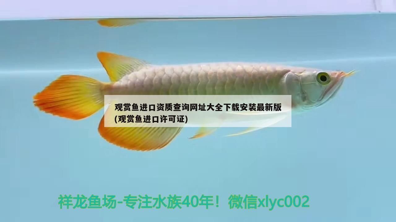 觀賞魚進口資質查詢網址大全下載安裝最新版(觀賞魚進口許可證) 觀賞魚進口資質查詢網址大全下載安裝最新版(觀賞魚進口許可證) 觀賞魚百科