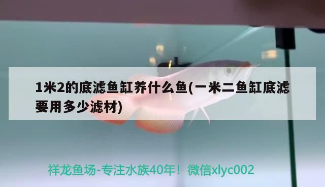 1米2的底濾魚缸養什么魚(一米二魚缸底濾要用多少濾材)