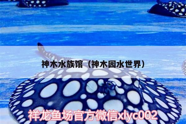 <strong><mark>神木</mark></strong>水族館（<strong><mark>神木</mark></strong>園水世界）