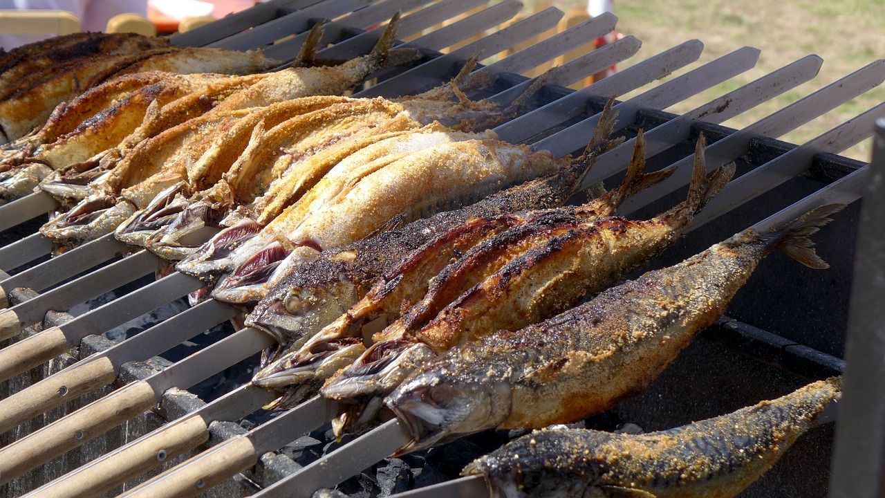 養星點龍魚應該注意什么 (星點金龍魚為什么便宜) 觀賞魚百科 第1張 養星點龍魚應該注意什么 (星點金龍魚為什么便宜) 養星點龍魚應該注意什么 (星點金龍魚為什么便宜) 觀賞魚百科 第1張