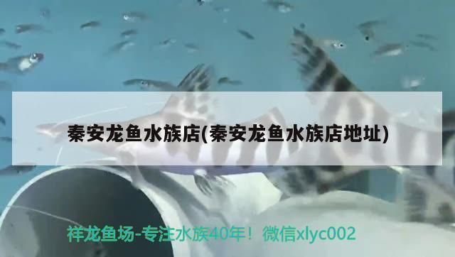 三明龍魚水族店:三明龍魚水族店三元區真愛水族店梅列區三和水族店 觀賞魚百科 第5張 三明龍魚水族店:三明龍魚水族店三元區真愛水族店梅列區三和水族店 三明龍魚水族店:三明龍魚水族店三元區真愛水族店梅列區三和水族店 觀賞魚百科 第5張