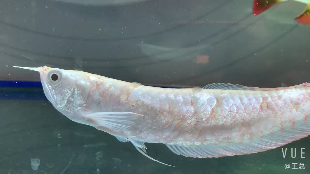水好，根本不用管他