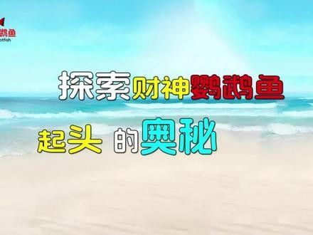 財神鸚鵡起頭秘訣