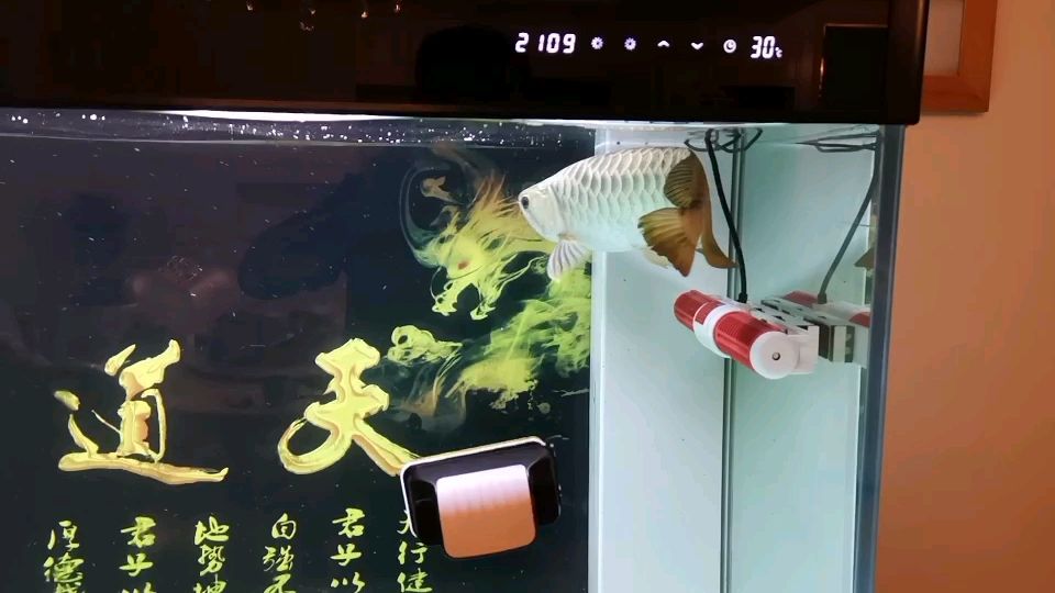 新手咨詢下波機問題