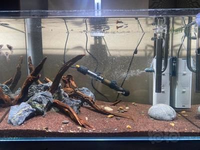 長治高端水族店：長治高端水族店，打造水族愛好者的夢幻天堂