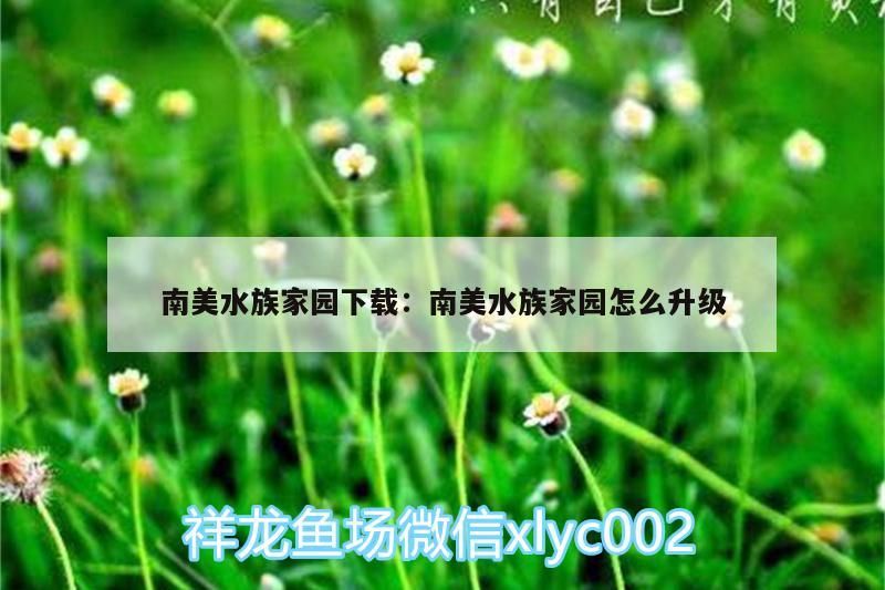南美水族家園下載:南美水族家園怎么升級