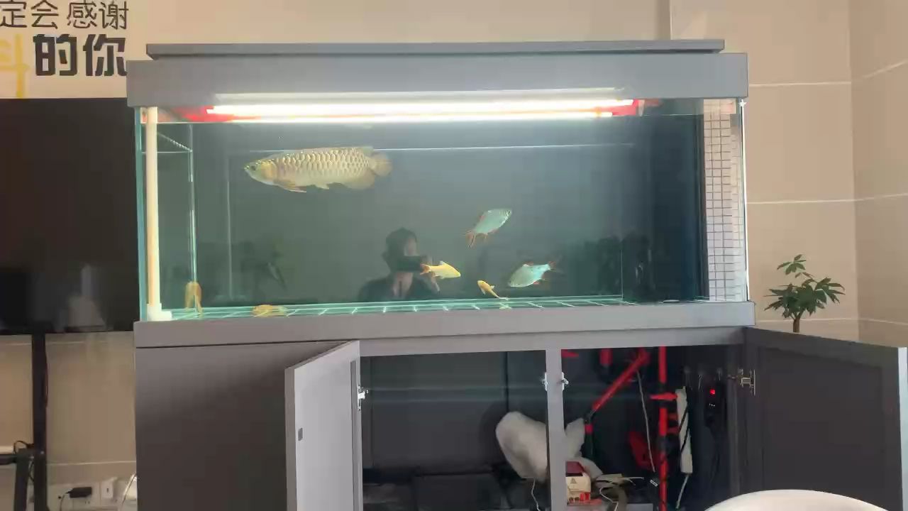 又斷更了，換水