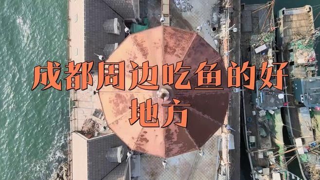 金堂哪家魚好吃