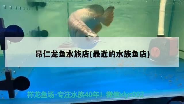 昂仁龍魚水族店(最近的水族魚店)