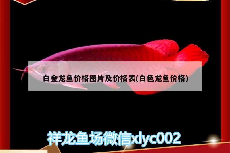 龍魚縮鰭是什么毛病（魚缸水硬度多少合適）