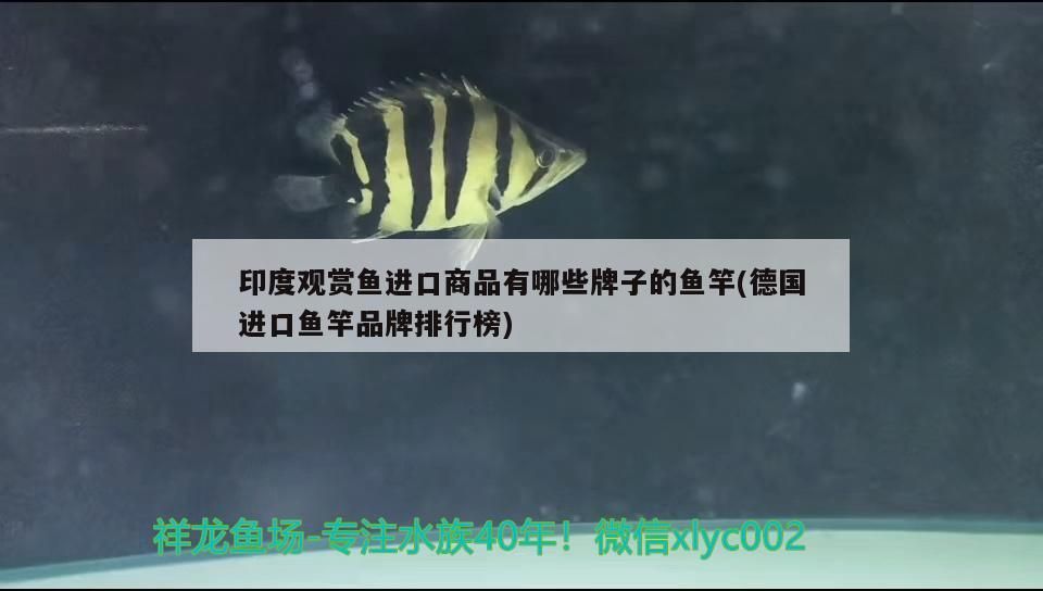 關(guān)于魚(yú)缸換水的個(gè)人見(jiàn)解 觀賞魚(yú)百科 第3張 關(guān)于魚(yú)缸換水的個(gè)人見(jiàn)解 關(guān)于魚(yú)缸換水的個(gè)人見(jiàn)解 觀賞魚(yú)百科 第3張
