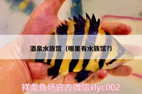 <strong><mark>酒泉</mark></strong>水族館（哪里有水族館?）