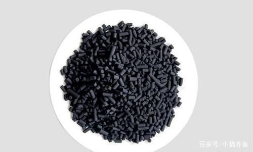 六角龍魚腿爛了怎么辦圖片大全（六角龍腿爛了怎么辦？）
