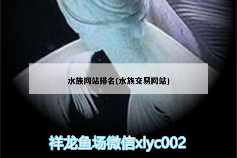 水族網站排名(水族交易網站)