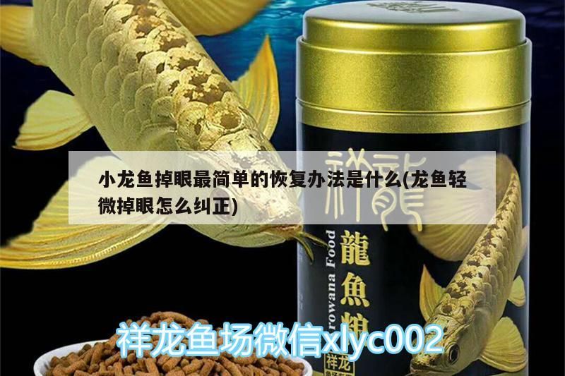 小龍魚掉眼最簡單的恢復辦法是什么(龍魚輕微掉眼怎么糾正)