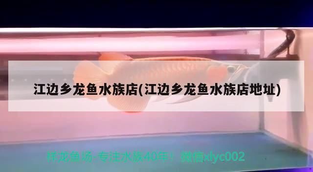 江邊鄉龍魚水族店(江邊鄉龍魚水族店地址)