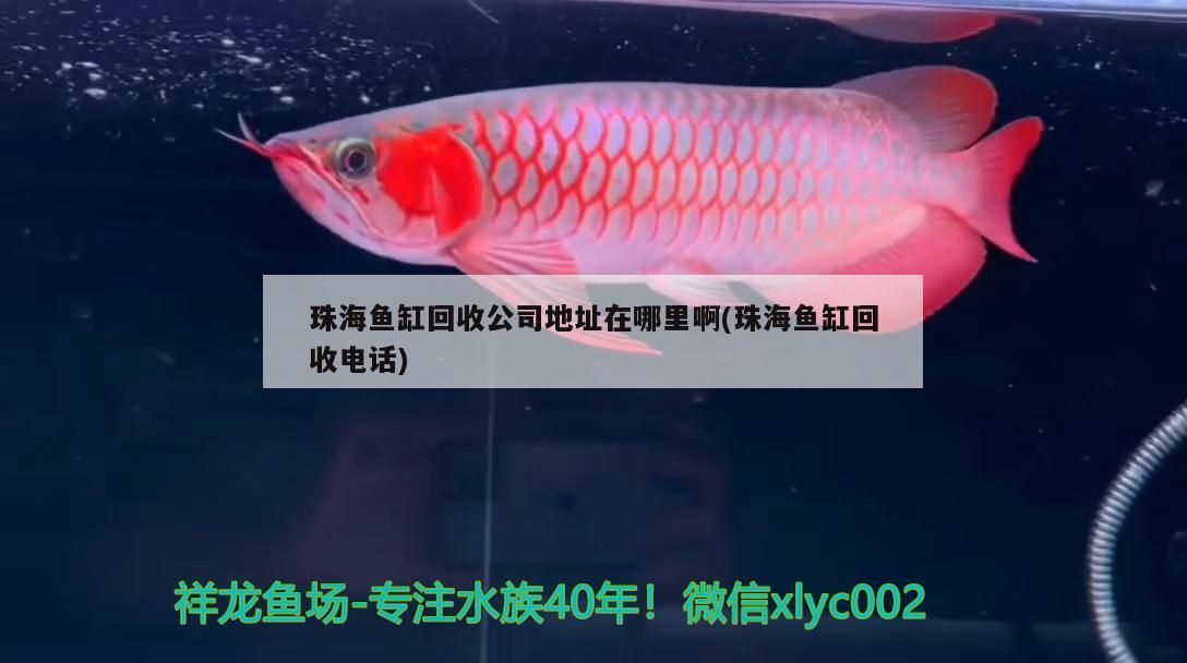 珠海魚缸回收公司地址在哪里啊(珠海魚缸回收電話)