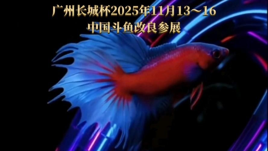 2025長城杯龍魚大賽品牌介紹