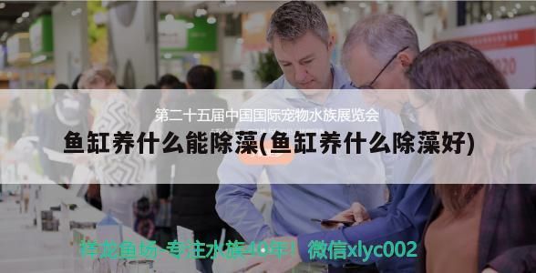 液肥 液肥 觀賞魚百科 第2張