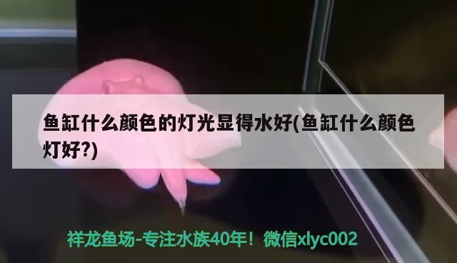 魚缸什么顏色的燈光顯得水好(魚缸什么顏色燈好?)