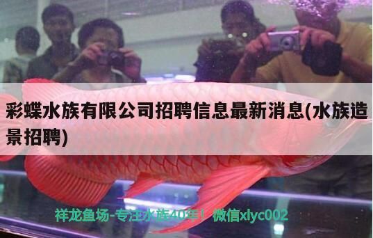 彩蝶水族有限公司招聘信息最新消息(水族造景招聘)