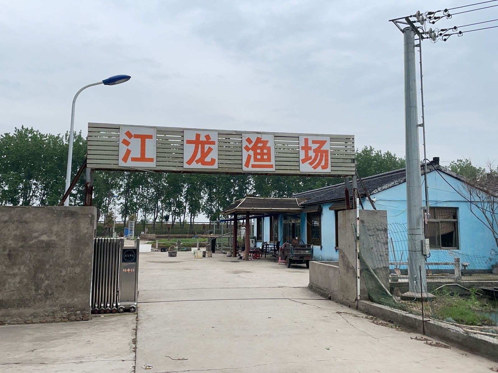 鎮(zhèn)江龍魚