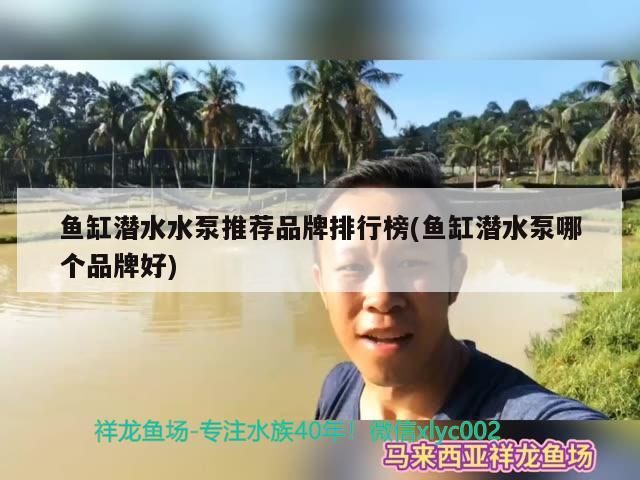 魚缸潛水水泵推薦品牌排行榜(魚缸潛水泵哪個品牌好)