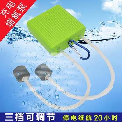 觀賞魚可食用嗎（觀賞魚可食用嗎圖片）