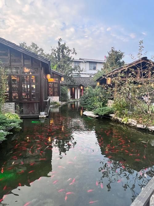 揚(yáng)州洪龍漁村