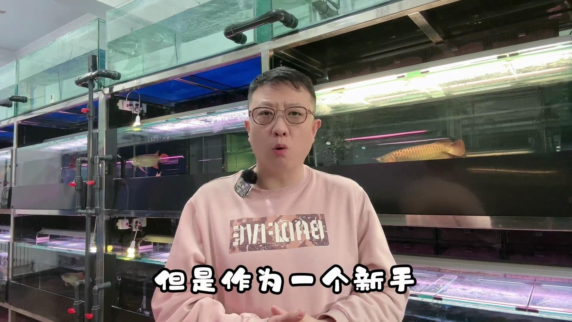 養龍魚的忌諱