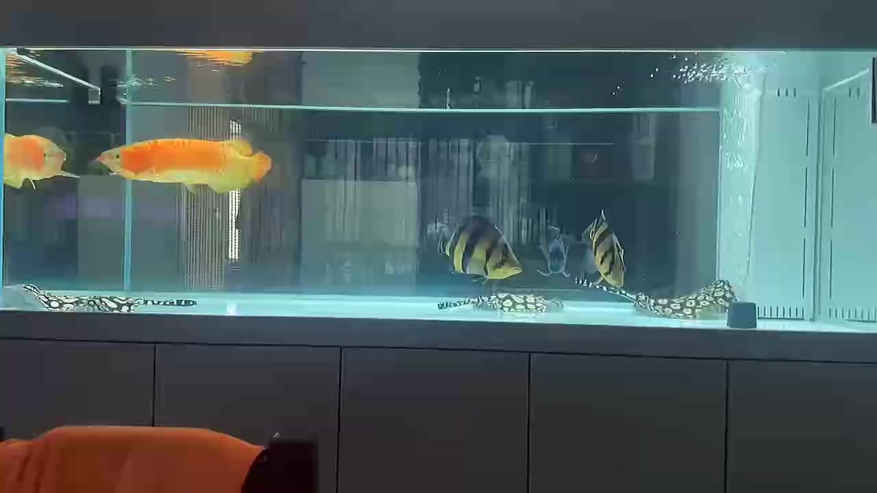 來了