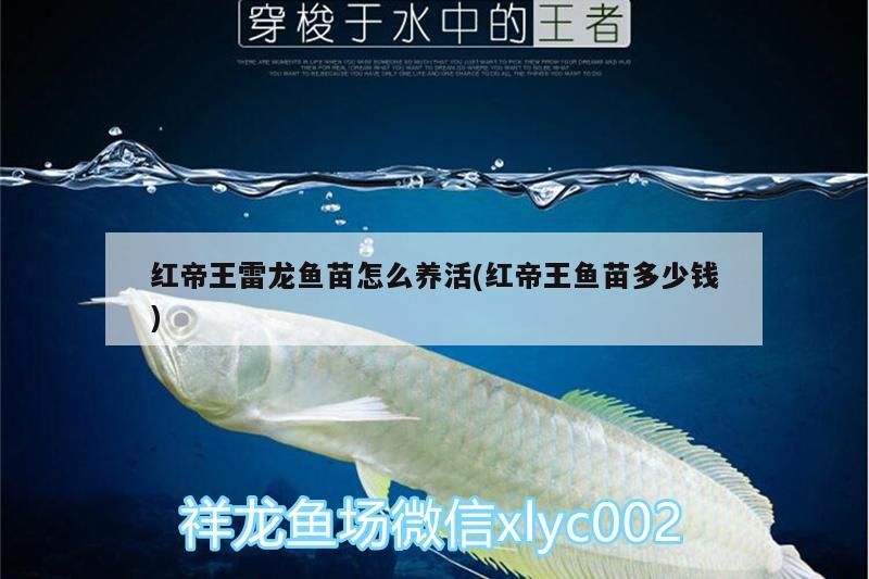 濾芯過濾器生產(chǎn)廠家盤點(diǎn)，水產(chǎn)過濾設(shè)備生產(chǎn)廠家有哪些水產(chǎn)過濾設(shè)備廠家有哪些
