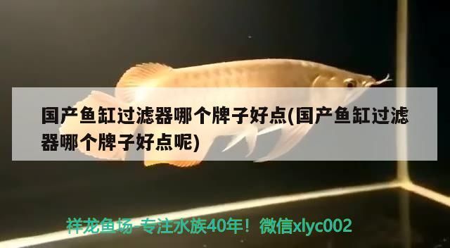 國產魚缸過濾器哪個牌子好點(國產魚缸過濾器哪個牌子好點呢)