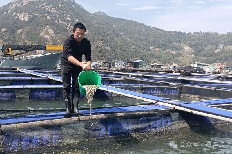 閩清龍魚
