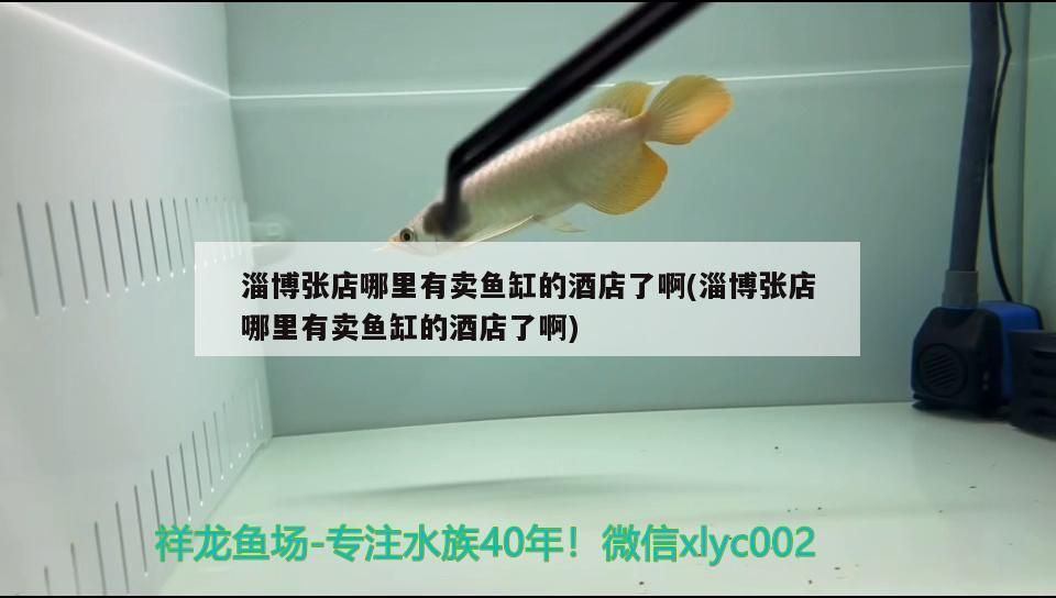 <strong><mark>淄博</mark></strong>張店哪里有賣魚缸的酒店了啊(<strong><mark>淄博</mark></strong>張店哪里有賣魚缸的酒店了啊)