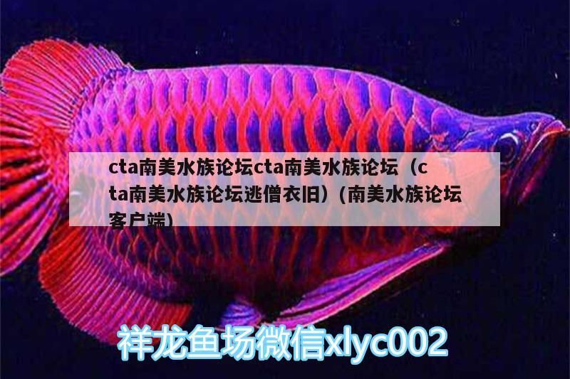 cta南美水族論壇cta南美水族論壇（cta南美水族論壇逃僧衣舊）(南美水族論壇客戶端)