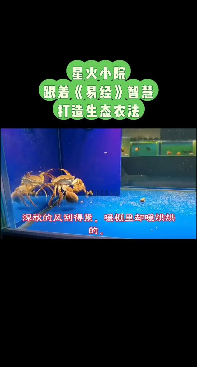 打造零換水零排放零污染生態循環系統