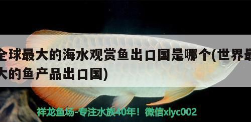 全球最大的海水觀賞魚出口國是哪個(世界最大的魚產品出口國)