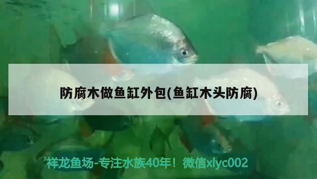 防腐木做魚缸外包(魚缸木頭防腐) 防腐木做魚缸外包(魚缸木頭防腐) 觀賞魚百科