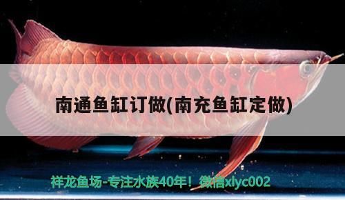 <strong><mark>南通</mark></strong>魚缸訂做(南充魚缸定做)