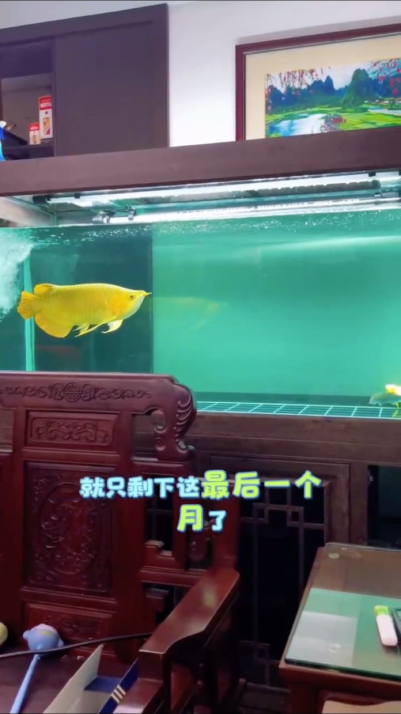 狀態走起