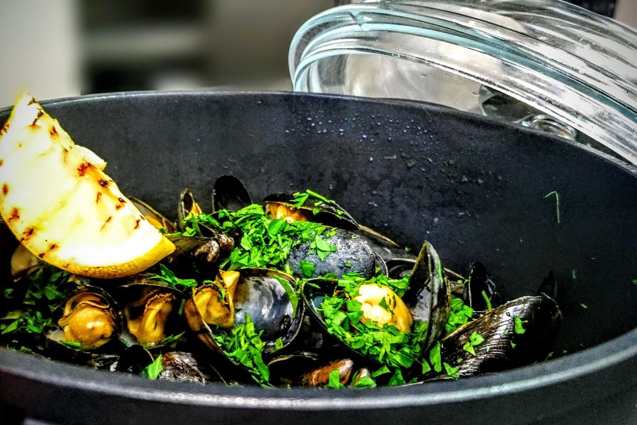 虎紋恐龍魚一天吃多少飼料最好（虎紋恐龍吃飼料嗎）