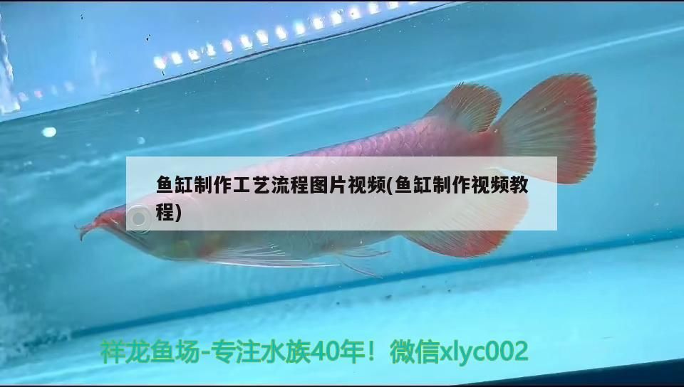 魚缸制作工藝流程圖片視頻(魚缸制作視頻教程) 魚缸制作工藝流程圖片視頻(魚缸制作視頻教程) 觀賞魚百科