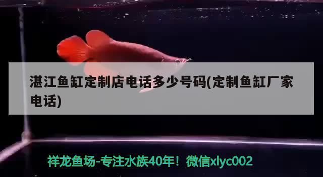 湛江魚缸定制店電話多少號碼(定制魚缸廠家電話)