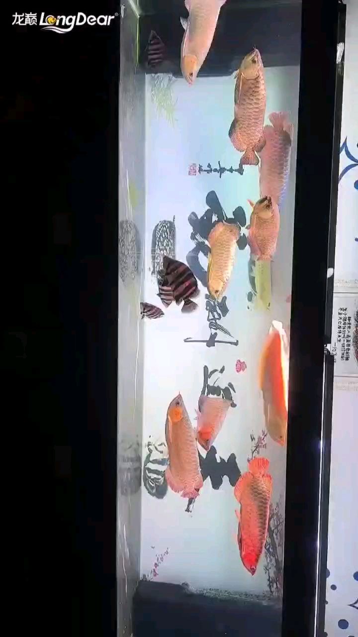 轉發950