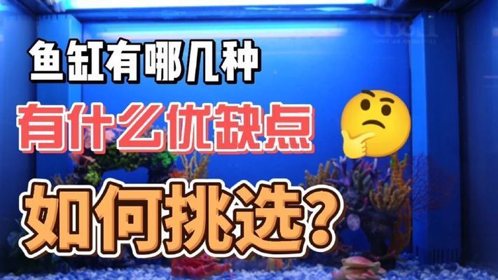 龍魚經常空咬（龍魚經常空咬蹭背）