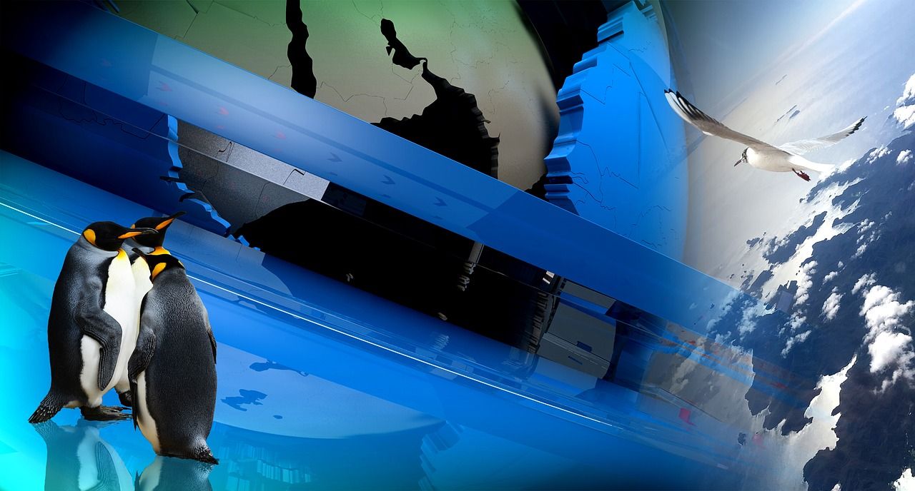 大白鯊生活在海底多少米(大白鯊能潛入海多少米) 觀賞魚百科 第2張 大白鯊生活在海底多少米(大白鯊能潛入海多少米) 大白鯊生活在海底多少米(大白鯊能潛入海多少米) 觀賞魚百科 第2張