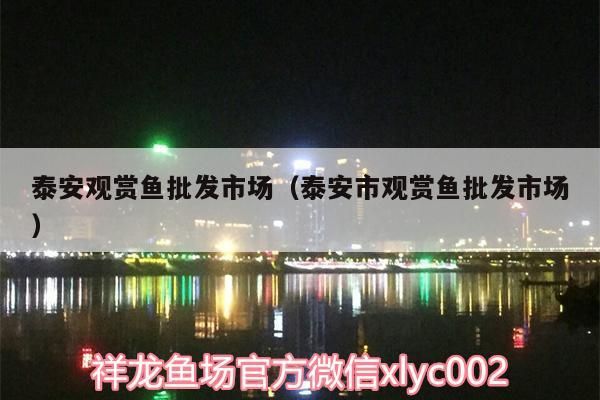 泰安觀賞魚批發市場（泰安市觀賞魚批發市場）